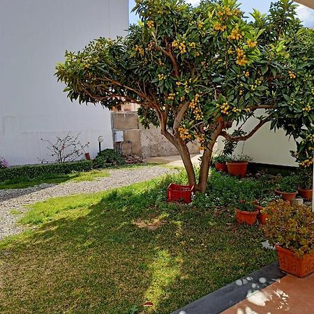 A Nespulara Bed & Breakfast Galati Marina Ngoại thất bức ảnh