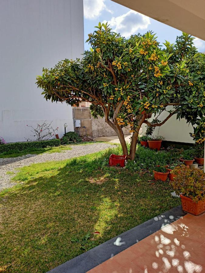 A Nespulara Bed & Breakfast Galati Marina Ngoại thất bức ảnh
